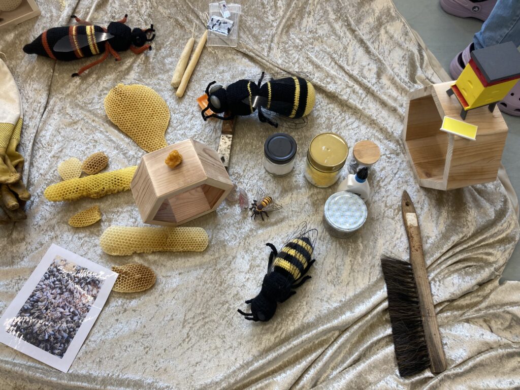 Projekt: „Naturwunder Bienen – Natur erleben und schützen“